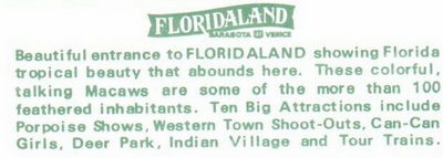 Floridaland - Postcard Back